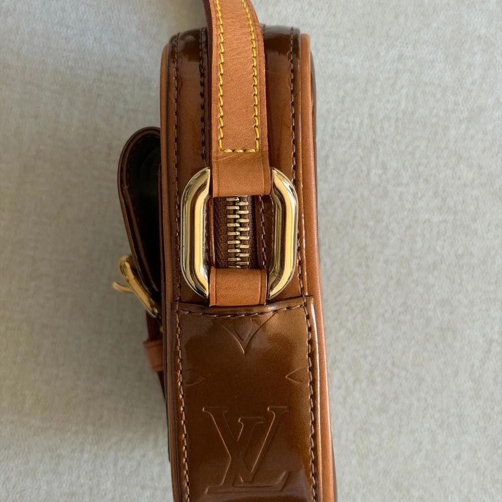 Louis Vuitton stylish brown